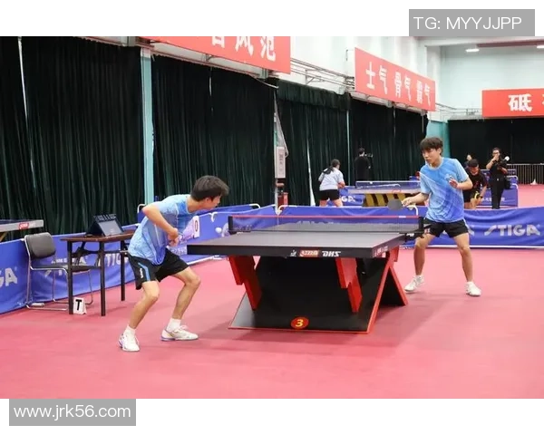 武汉乒乓球队在全国比赛经验排行榜中荣获第八名的辉煌成就